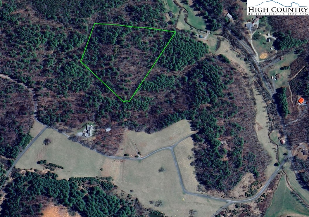 Lot 4 Running Cedar Lane Crumpler, NC 28617 - Photo 18 of 19 a view of a tree in a yard