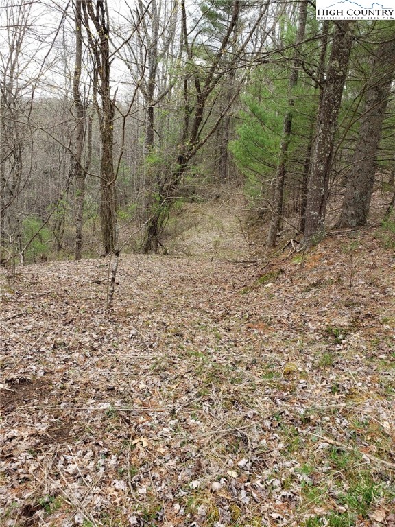 Lot 4 Running Cedar Lane Crumpler, NC 28617 - Photo 5 of 19 a view of a yard with trees