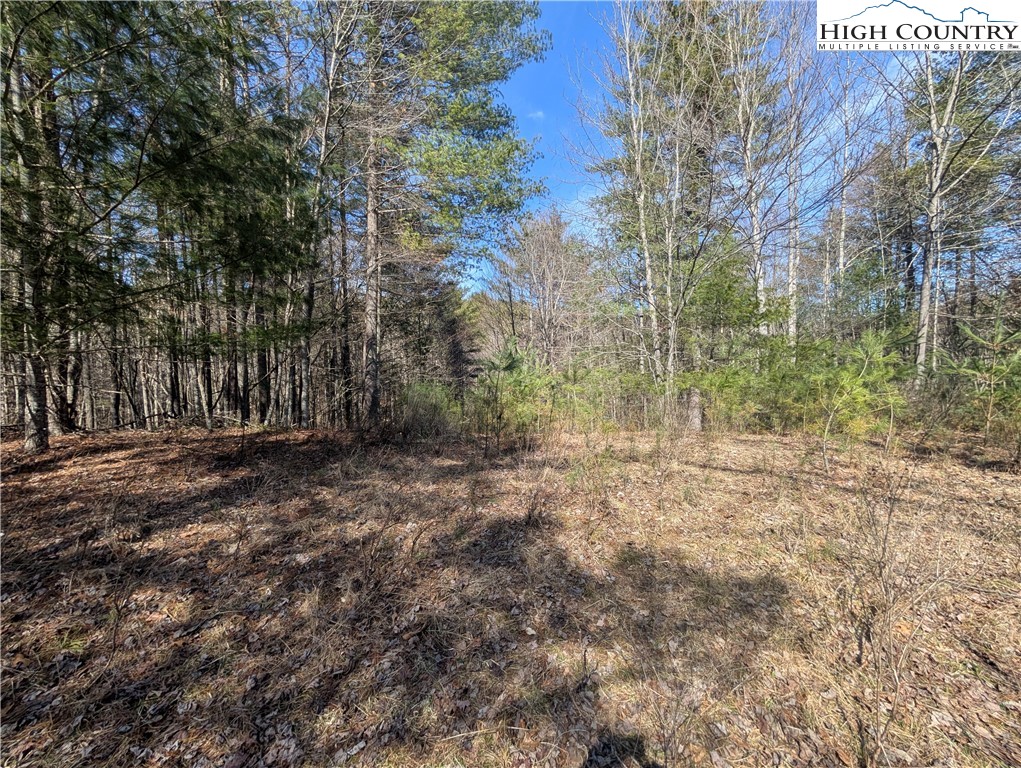 Lot 4 Running Cedar Lane Crumpler, NC 28617 - Photo 7 of 19 a view of backyard with trees