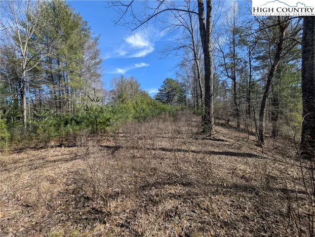 a big yard with lots of green space