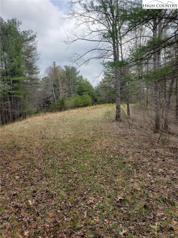 Lot 4 Running Cedar Lane Crumpler, NC 28617 - Photo 9 of 19 a view of a yard with a tree