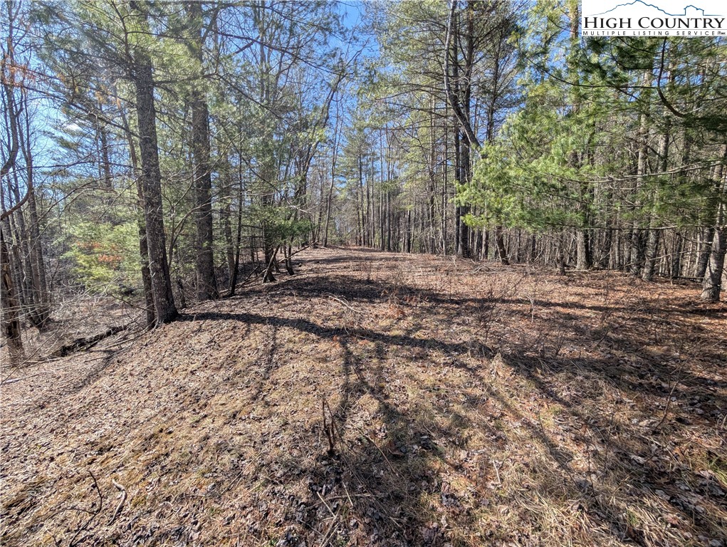 Lot 4 Running Cedar Lane Crumpler, NC 28617 - Photo 10 of 19 a backyard of a house with lots of green space