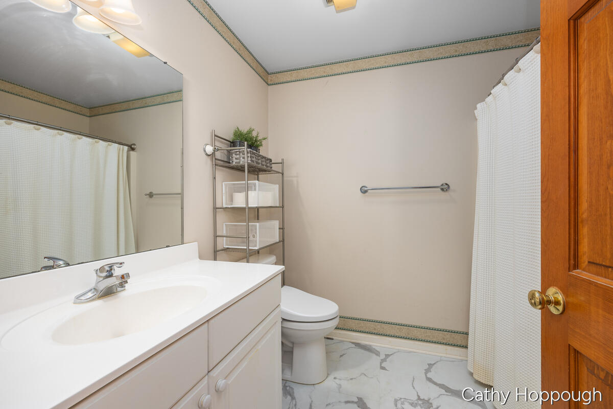 470 Caroline Street Ionia, MI 48846 - Photo 30 of 81