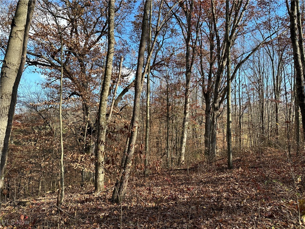 2305 Hardesty Road Norwich, OH 43767 - Photo 26 of 35 View of local wilderness