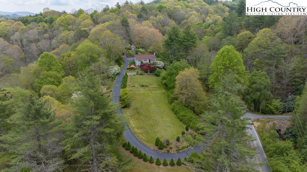 1268 Pine Run Road Boone, NC 28607 - Photo 4 of 48 a view of a forest