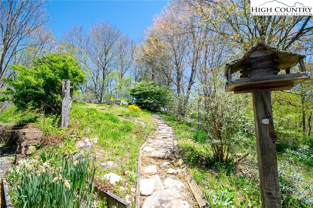 1268 Pine Run Road Boone, NC 28607 - Photo 43 of 48 a view of a backyard with plants
