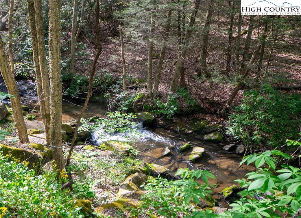 1268 Pine Run Road Boone, NC 28607 - Photo 45 of 48 a backyard of a house with lots of green space and garden