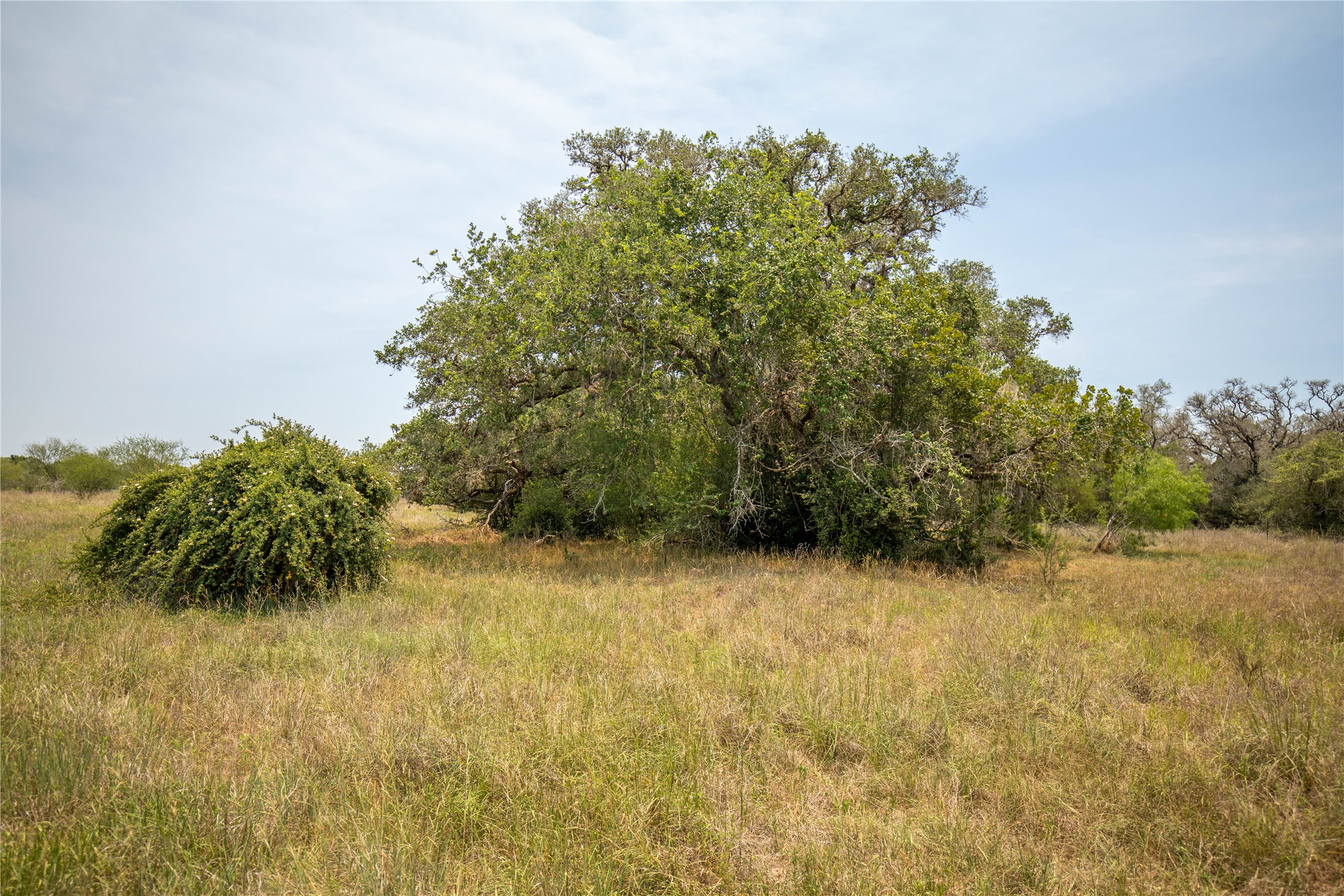 0 Green Dewitt Road Cuero, TX 77954 - Photo 22 of 40