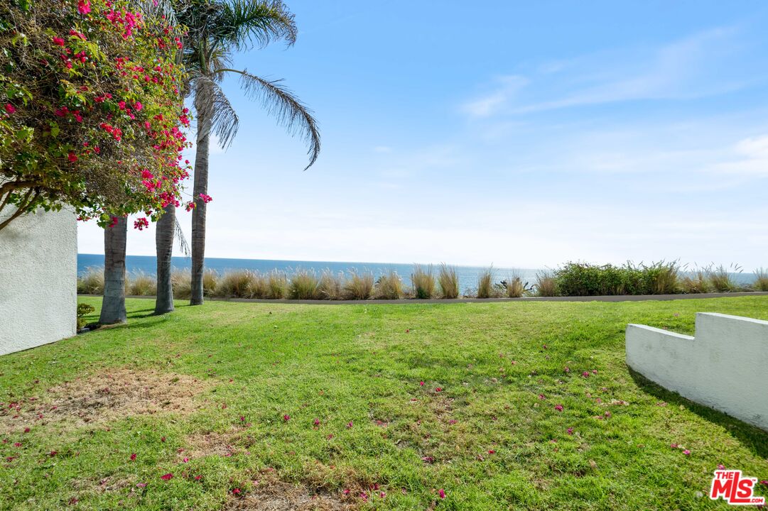 31246 Bailard Road Malibu, CA 90265 - Photo 13 of 31 a view of outdoor space and yard