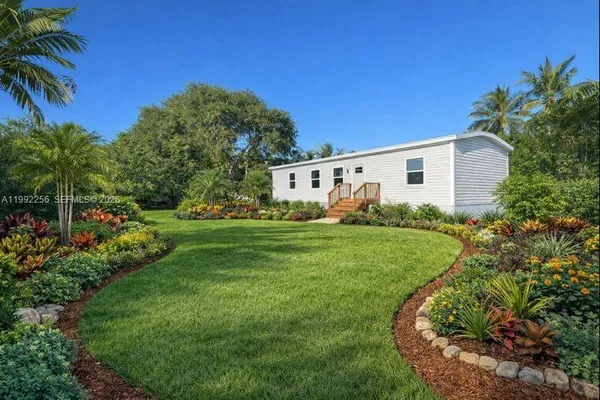 a backyard with potted plants and large tree