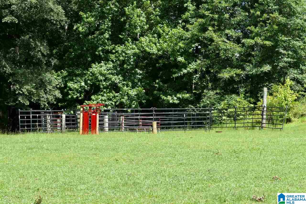 3330 Highway 174 Springville, AL 35146 - Photo 16 of 21