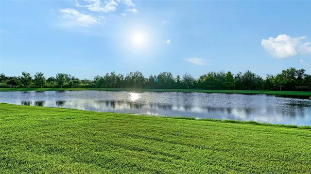 a view of a house with a big yard plants and large tree