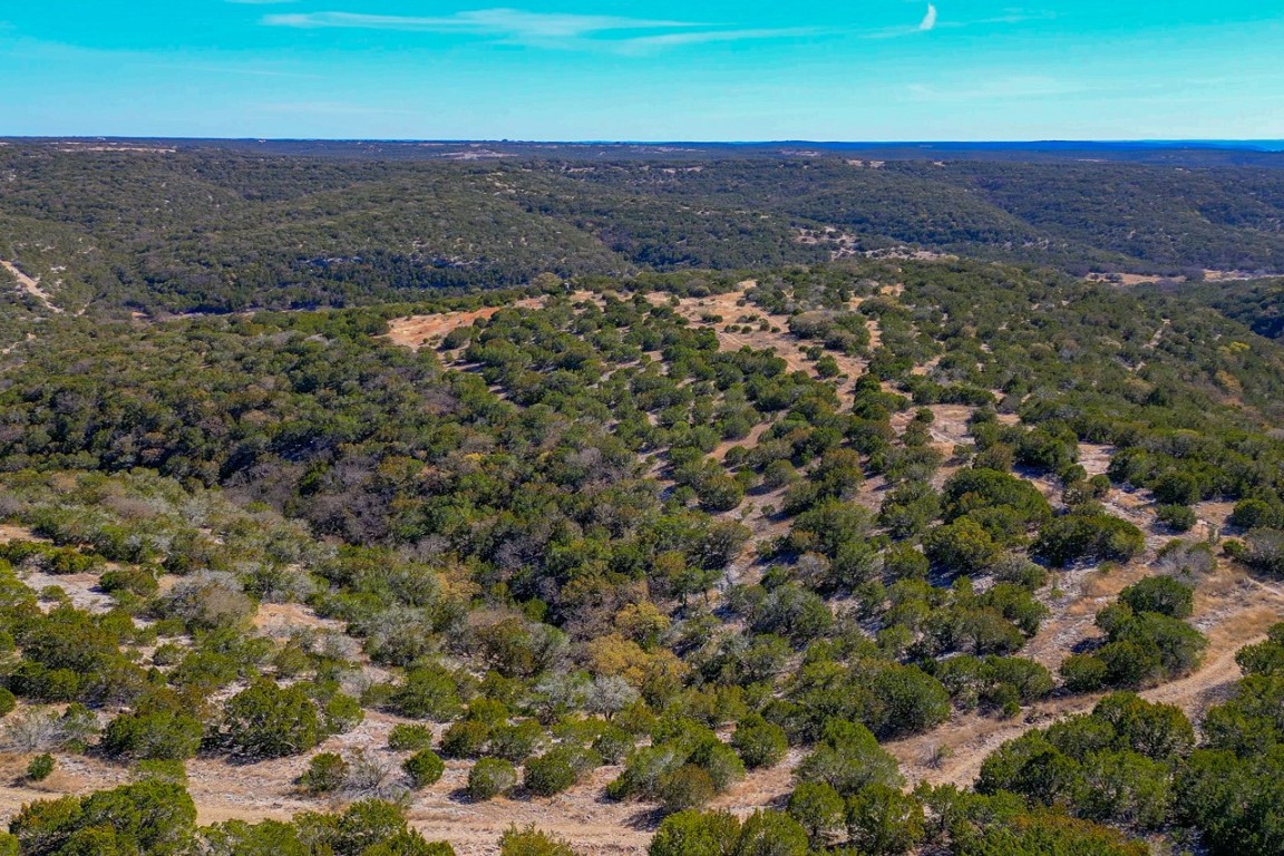 Undisclosed Address Rocksprings, TX 78880 - Photo 11 of 11 View of property location with a forest