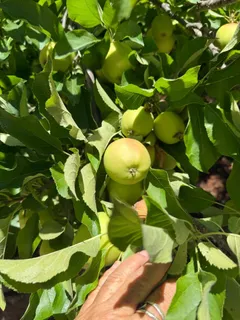 $2,990,000 | 23185 Old Santa Cruz Highway, Los Gatos, CA 95033