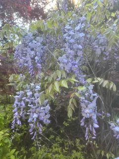 $2,990,000 | 23185 Old Santa Cruz Highway, Los Gatos, CA 95033