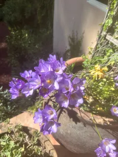 $2,990,000 | 23185 Old Santa Cruz Highway, Los Gatos, CA 95033