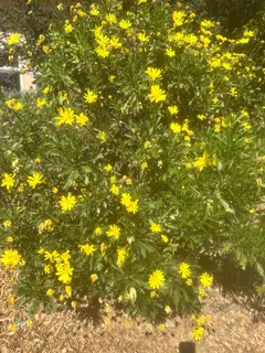 $2,990,000 | 23185 Old Santa Cruz Highway, Los Gatos, CA 95033