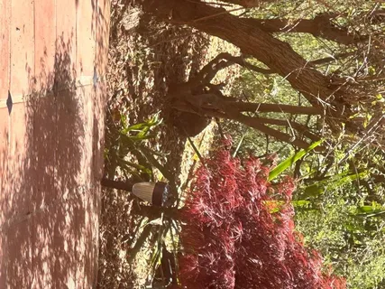 $2,990,000 | 23185 Old Santa Cruz Highway, Los Gatos, CA 95033