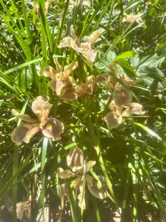 $2,990,000 | 23185 Old Santa Cruz Highway, Los Gatos, CA 95033