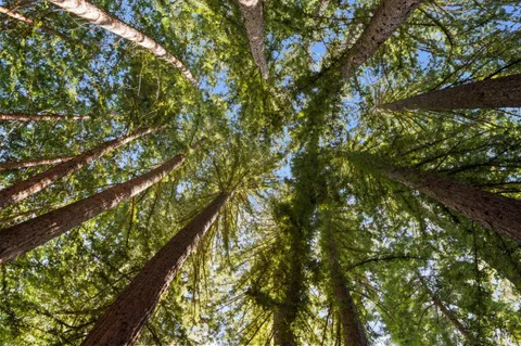 $2,990,000 | 23185 Old Santa Cruz Highway, Los Gatos, CA 95033