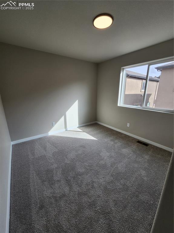 5209 Palomino Ranch Point Colorado Springs, CO 80922 - Photo 14 of 19