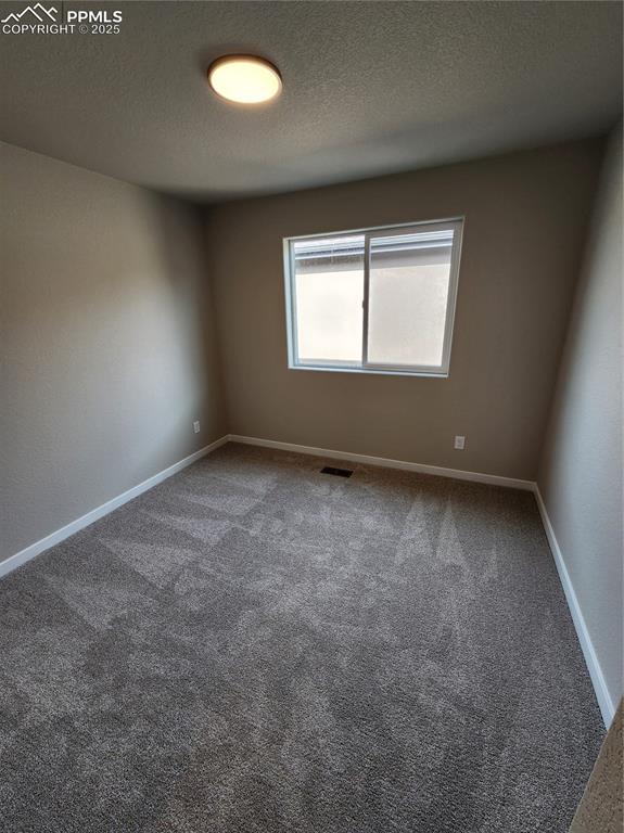 5209 Palomino Ranch Point Colorado Springs, CO 80922 - Photo 15 of 19