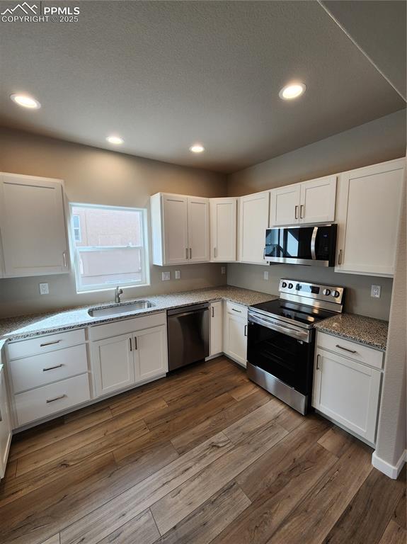 5209 Palomino Ranch Point Colorado Springs, CO 80922 - Photo 7 of 19