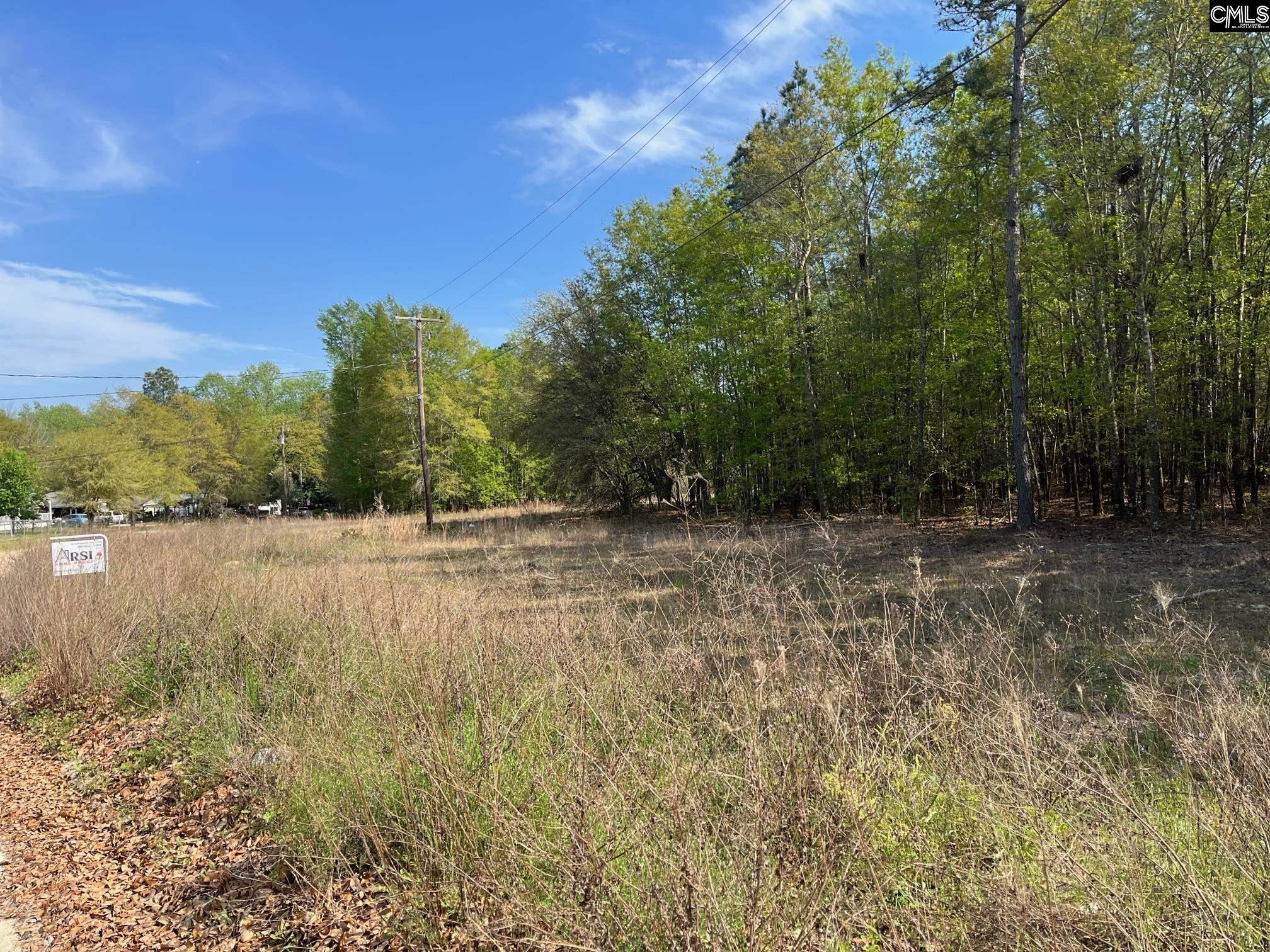 0 Cottage Road West Columbia, SC 29172 - Photo 4 of 5