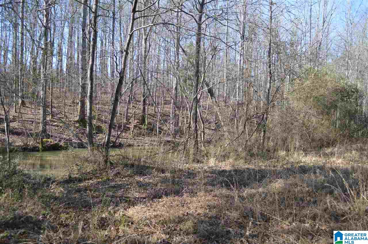 1900 Sanie Road Odenville, AL 35120 - Photo 39 of 48