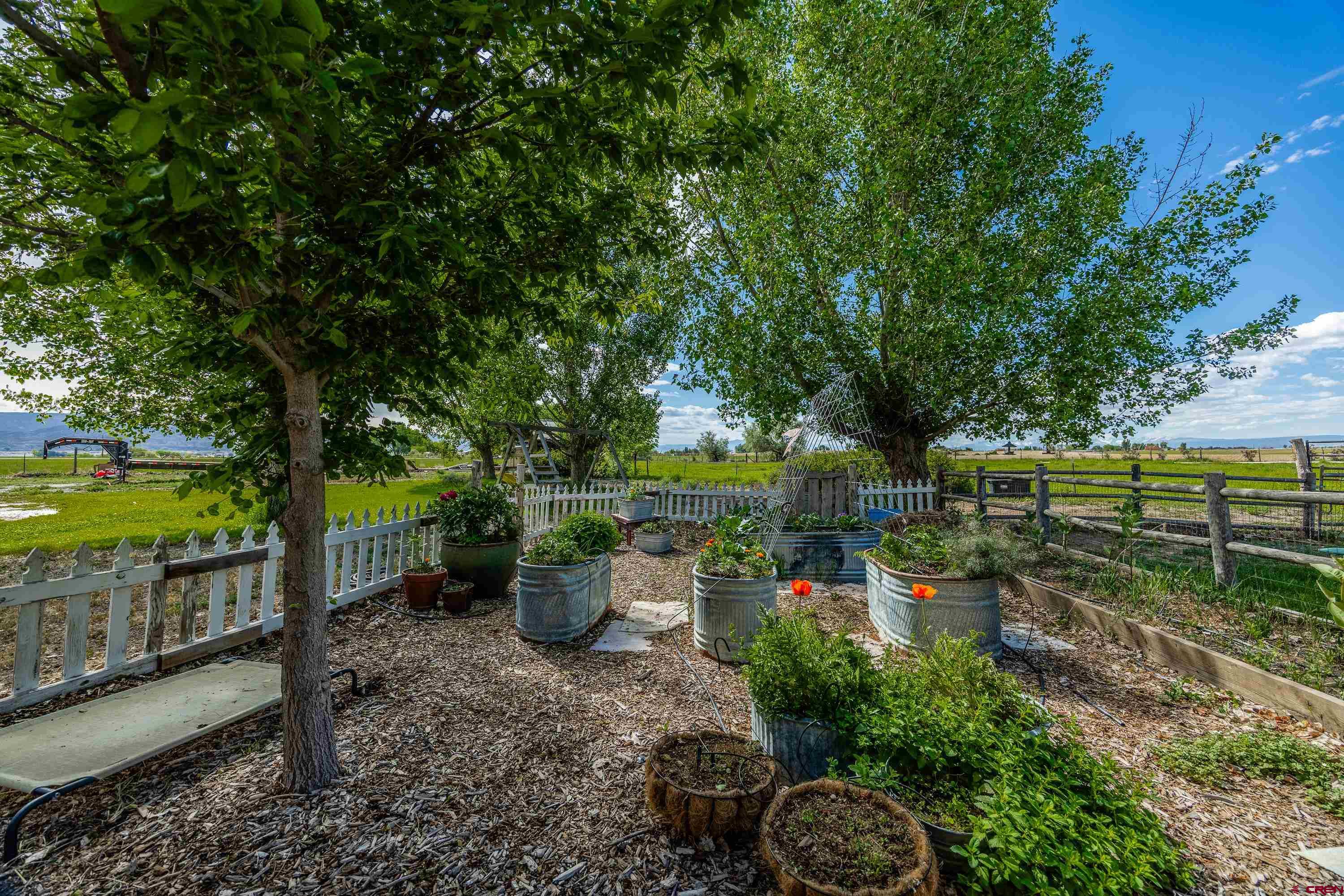 5184 6000th Road Olathe, CO 81425 - Photo 27 of 44