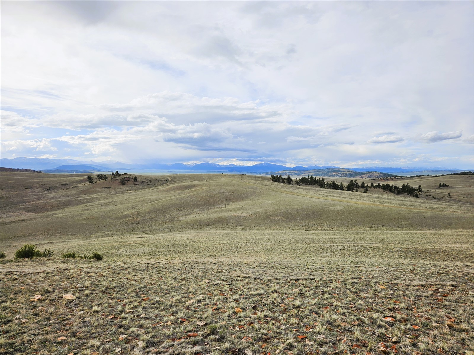 Pcs#24139 Antero Road Hartsel, CO 80449 - Photo 14 of 41
