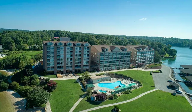 a living room with furniture a rug potted plant and a large window