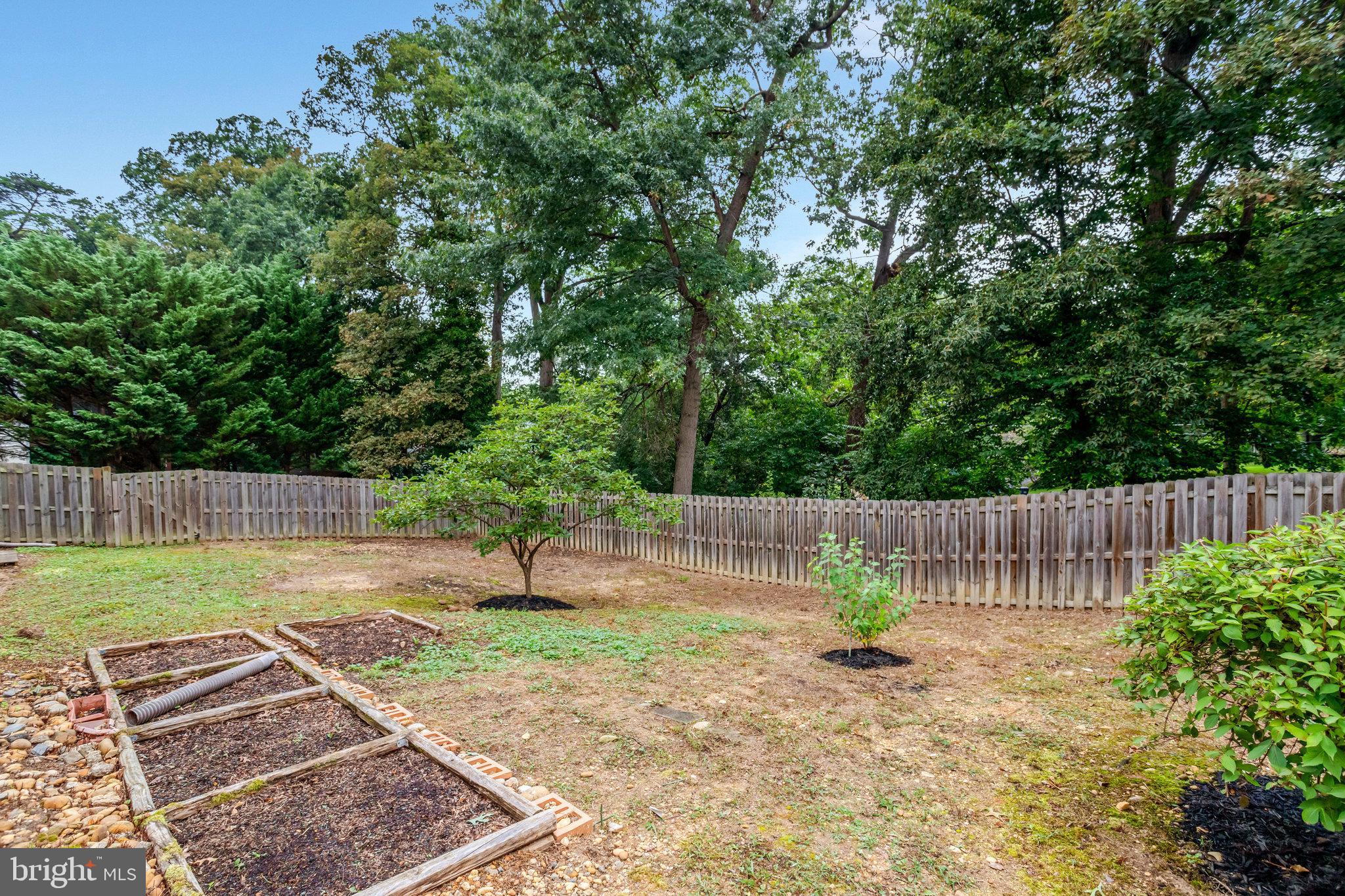 3905 Cook Street Alexandria, VA 22311 - Photo 37 of 39 a backyard of a house with lots of green space