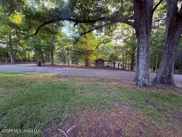 199 Z C Rushing Road Tylertown, MS 39667 - Photo 3 of 55 IMG_3488