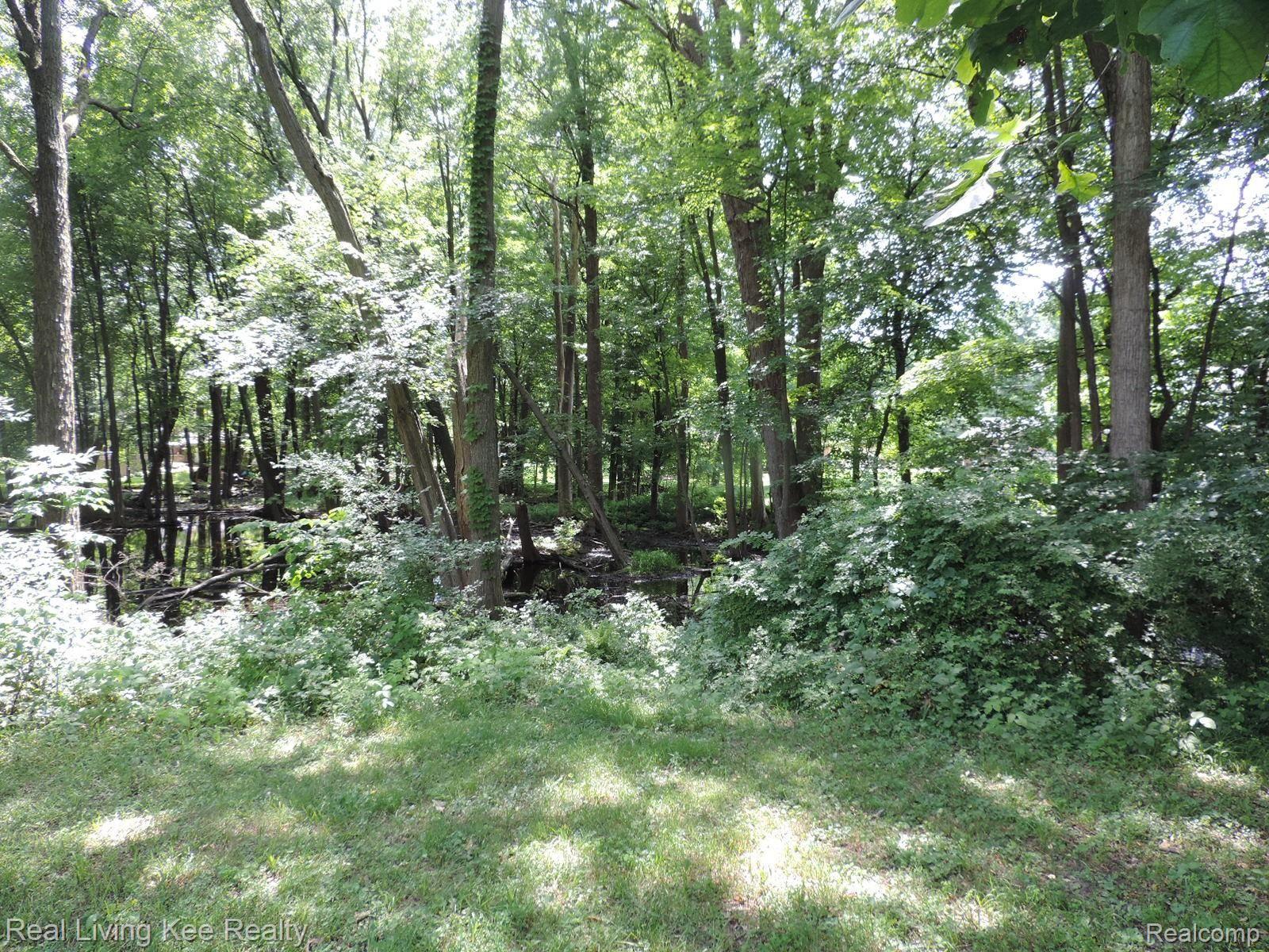 1174 Avon Circle West Rochester, MI 48309 - Photo 26 of 29 DSCN3538.JPG