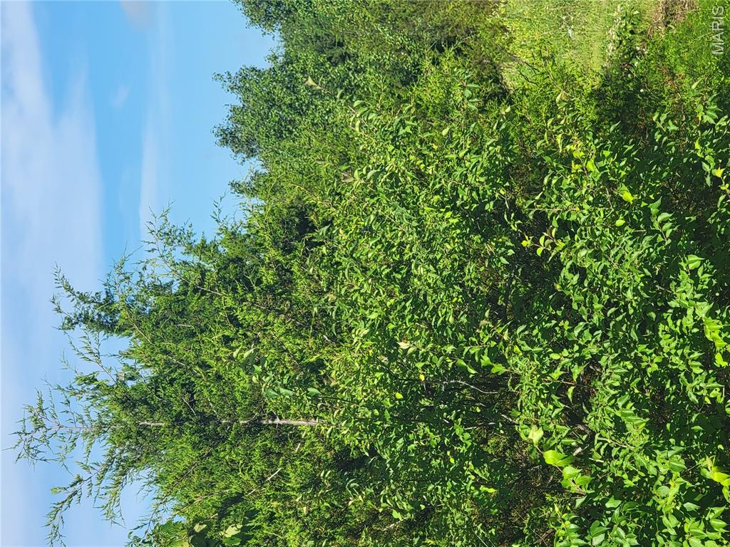 5086 Fox Crk Road Pacific, MO 63069 - Photo 1 of 1