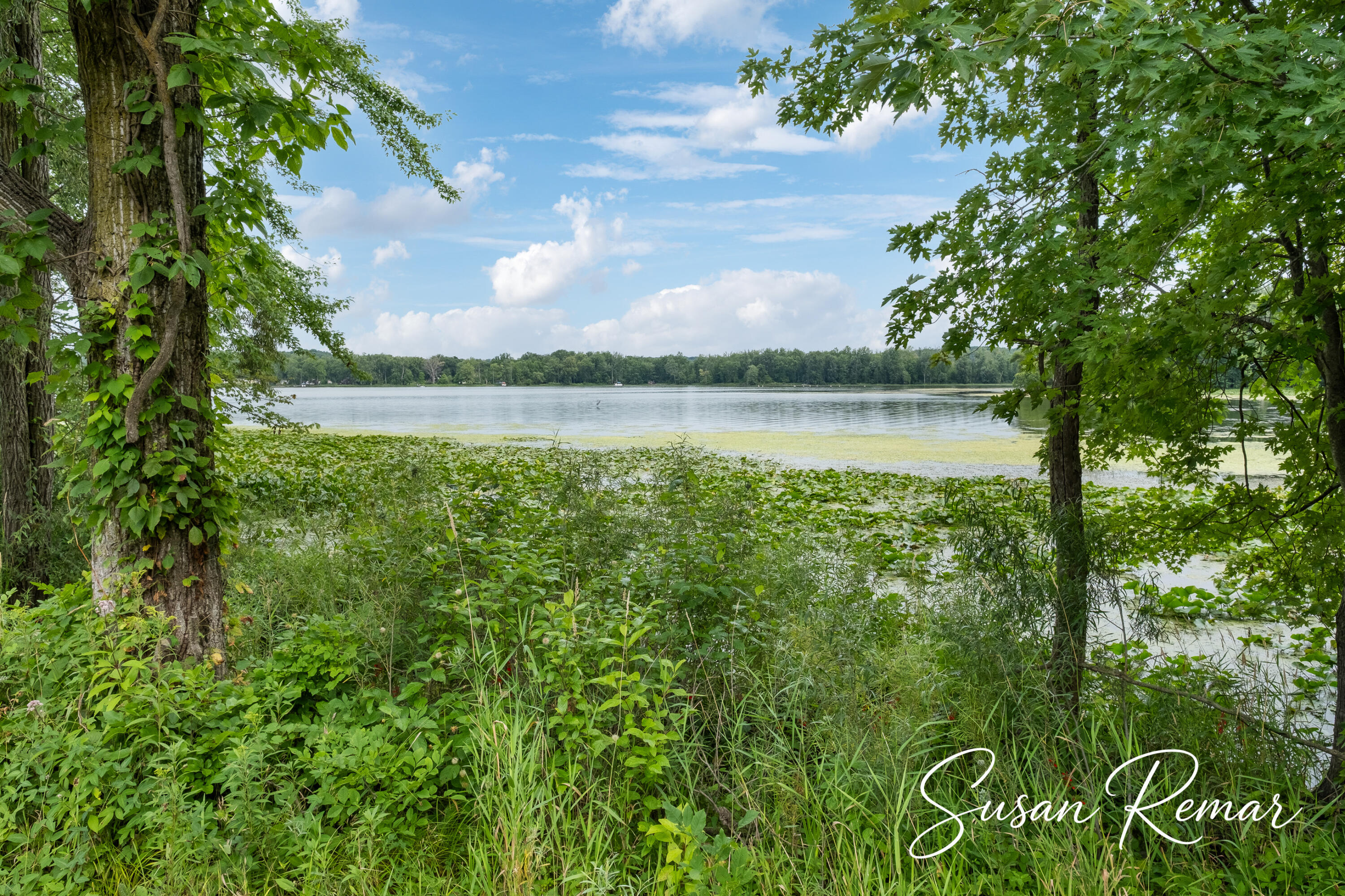 Thornapple Lake Road Nashville, MI 49073 - Photo 3 of 24 Photo-9