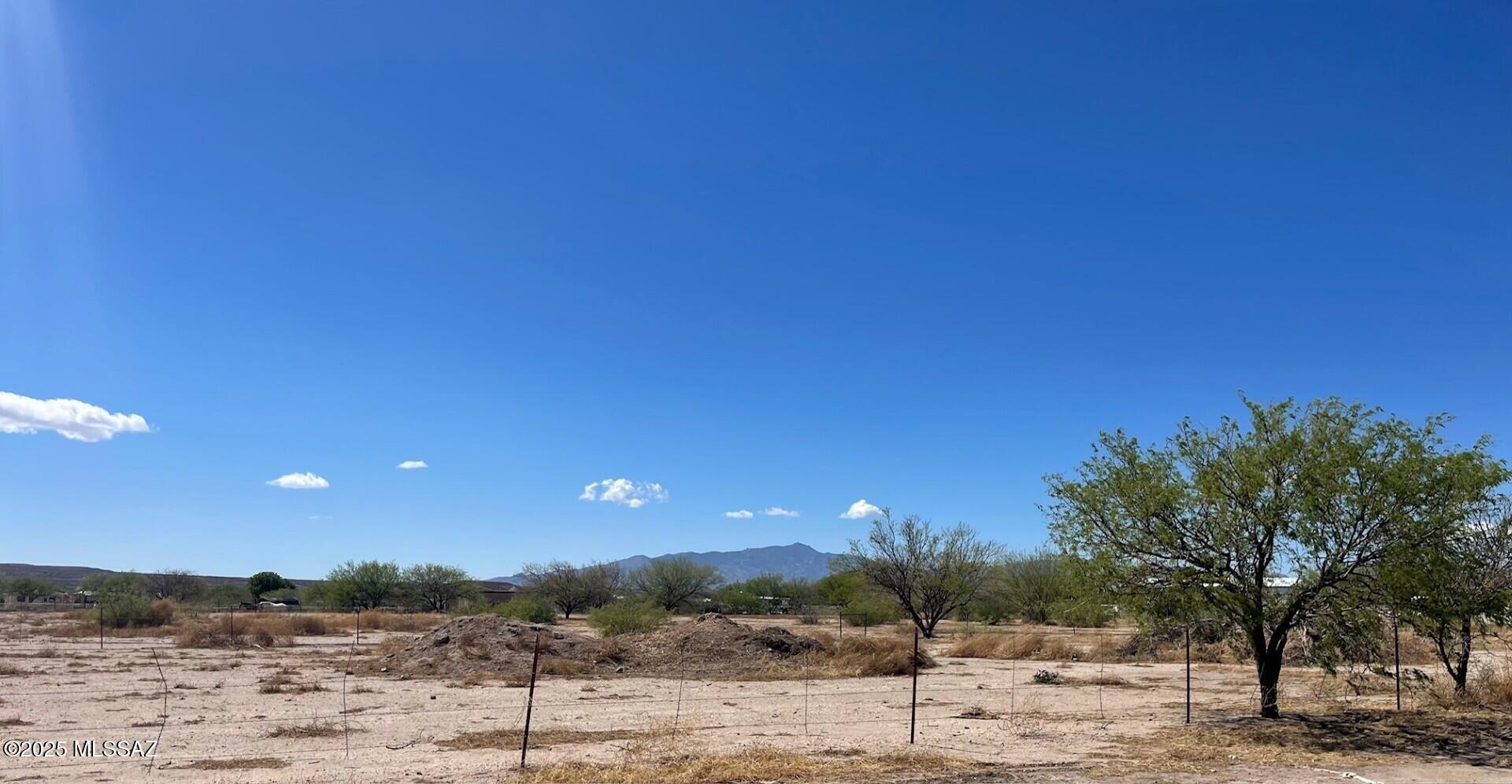 1094 North Pomerene Road Benson, AZ 85602 - Photo 39 of 48 a view of a yard with a tree