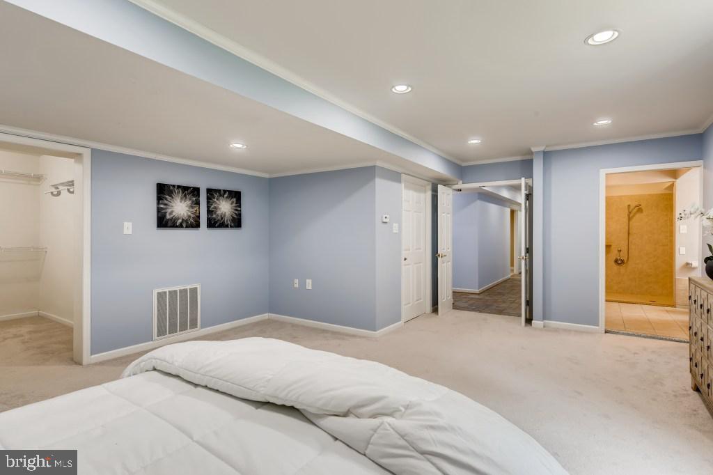 13920 Sunnybrook Road Phoenix, MD 21131 - Photo 18 of 28 Master Bedroom on Lower Level