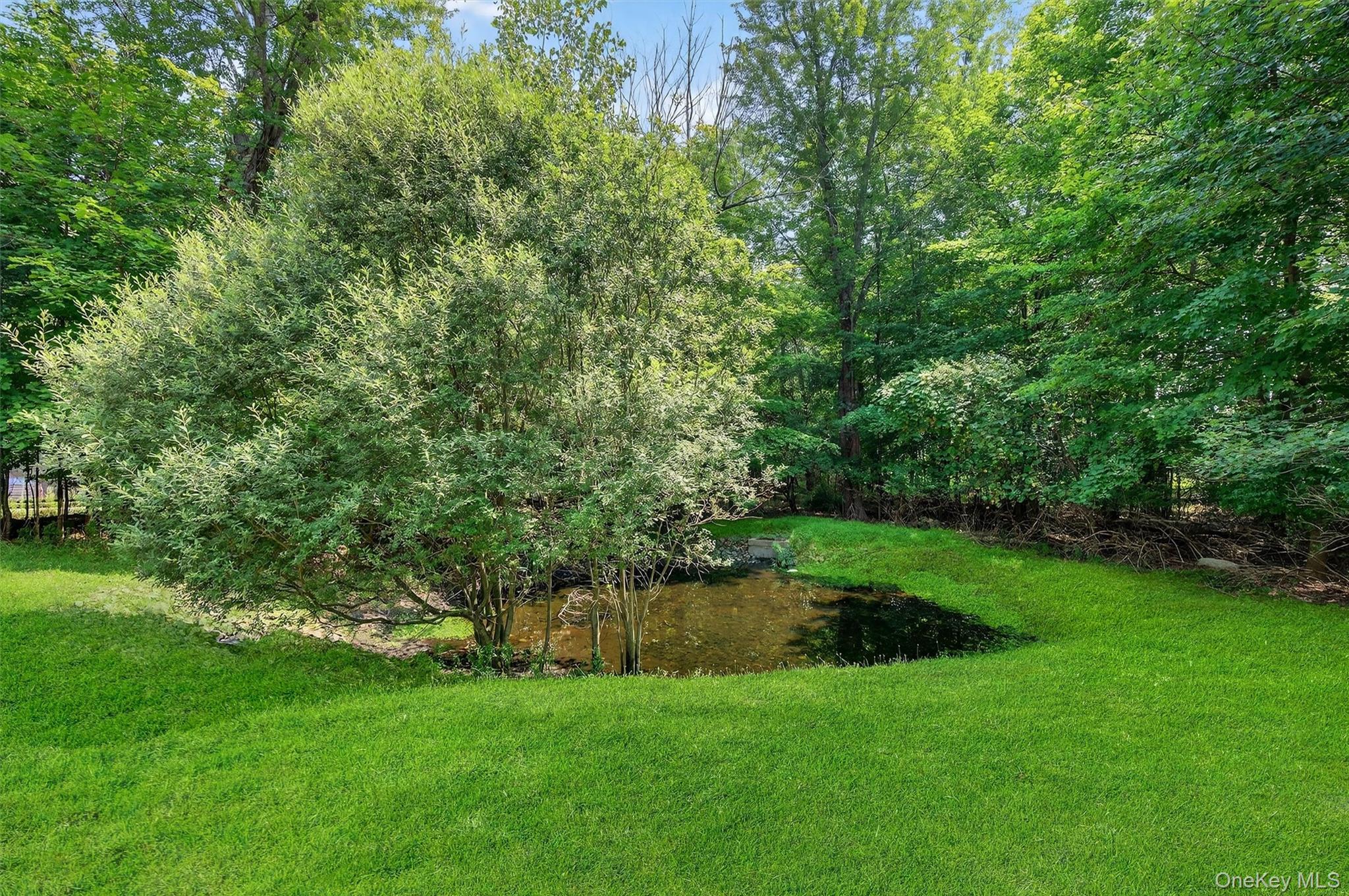 1 Lake Ridge Drive Middletown, NY 10940 - Photo 38 of 44 a view of a back yard