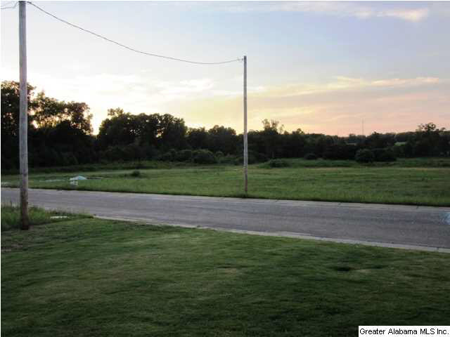 120 Searcy Lane Clanton, AL 35045 - Photo 30 of 32