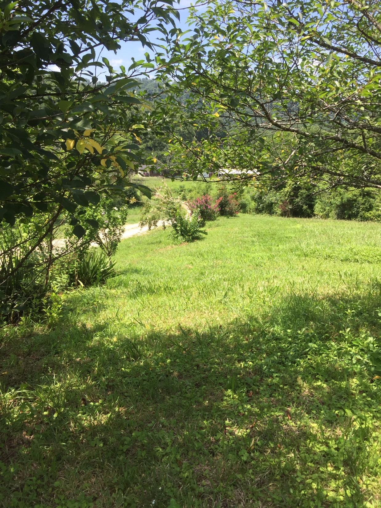 1910 Caudill Road Stanton, KY 40380 - Photo 33 of 50 View from the front porch towards Caudil
