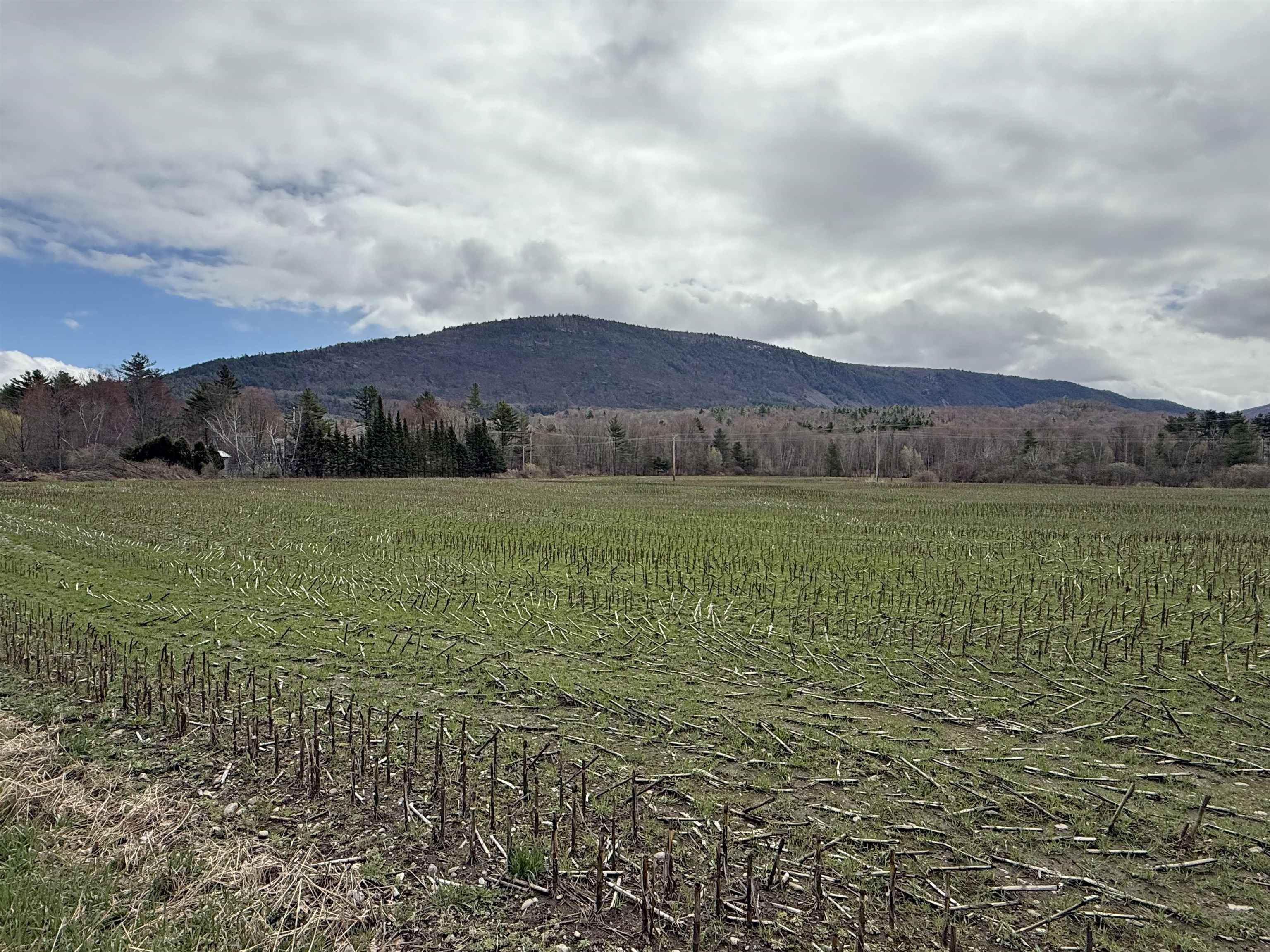 Tbd Hewitt Road Bristol, VT 05443 - Photo 12 of 13