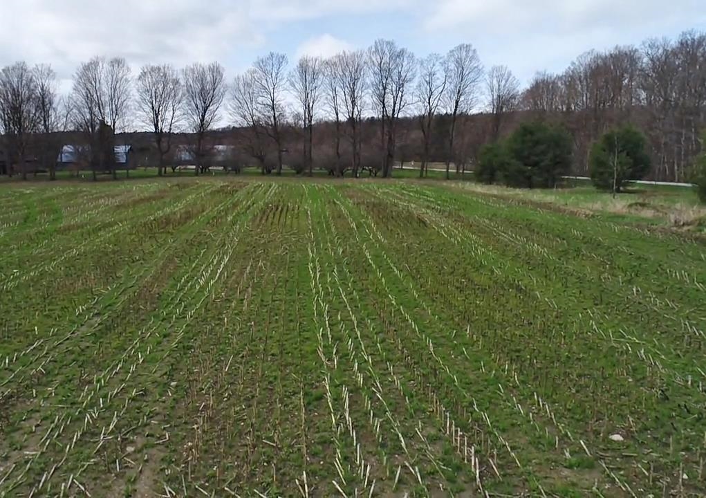 Tbd Hewitt Road Bristol, VT 05443 - Photo 4 of 13
