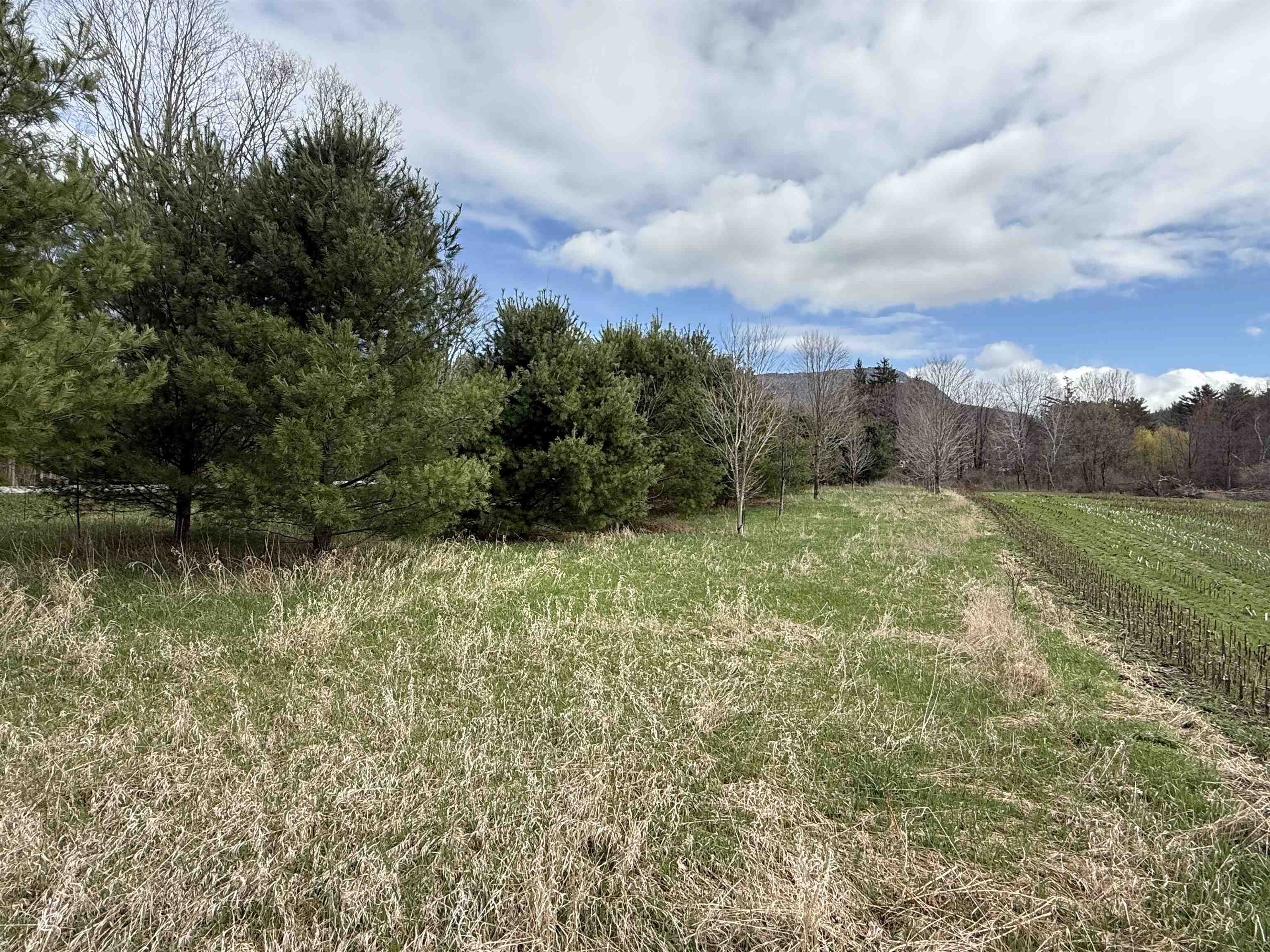 Tbd Hewitt Road Bristol, VT 05443 - Photo 6 of 13