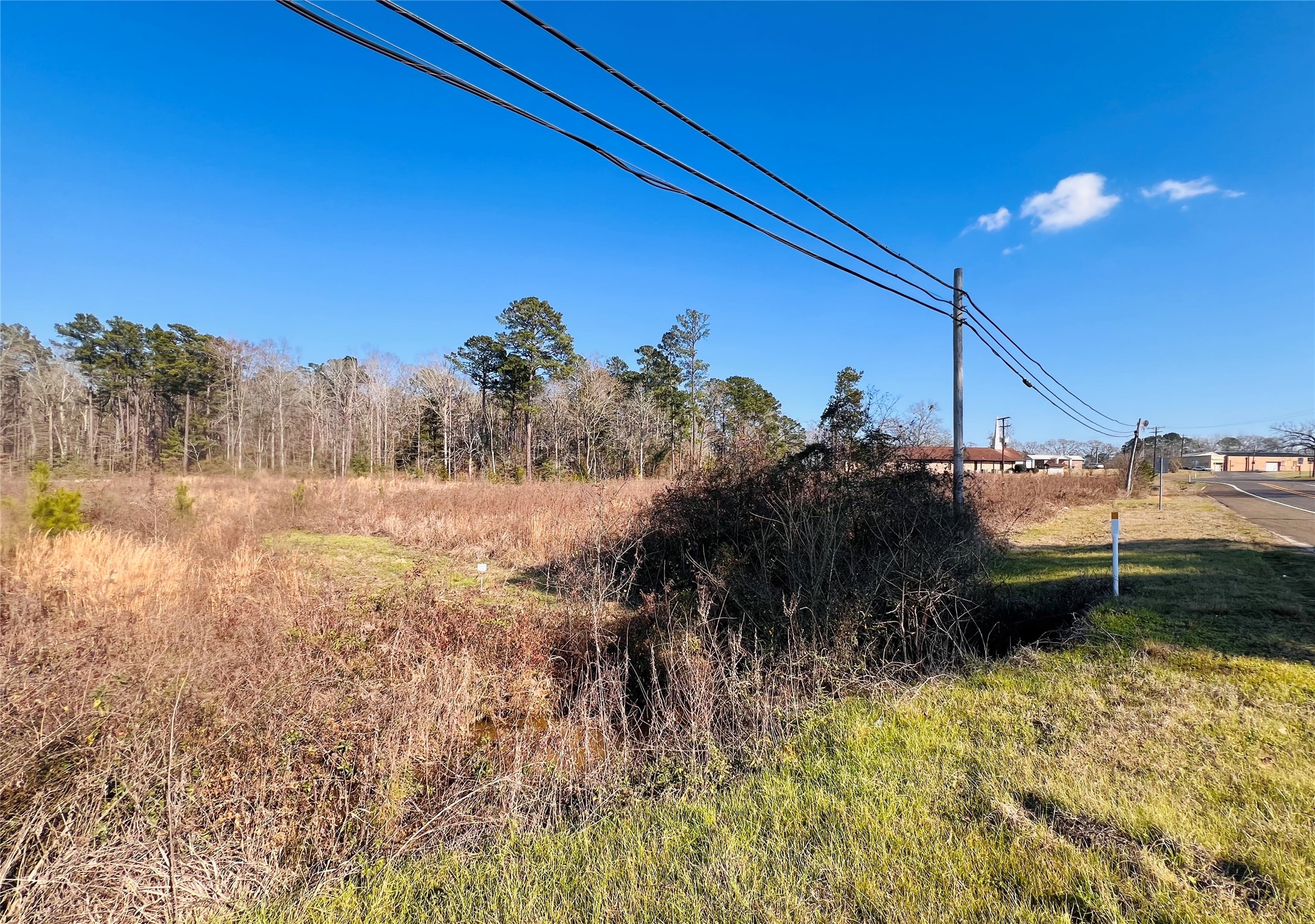 495 Rice Street Hemphill, TX 75948 - Photo 6 of 10 a view of a yard