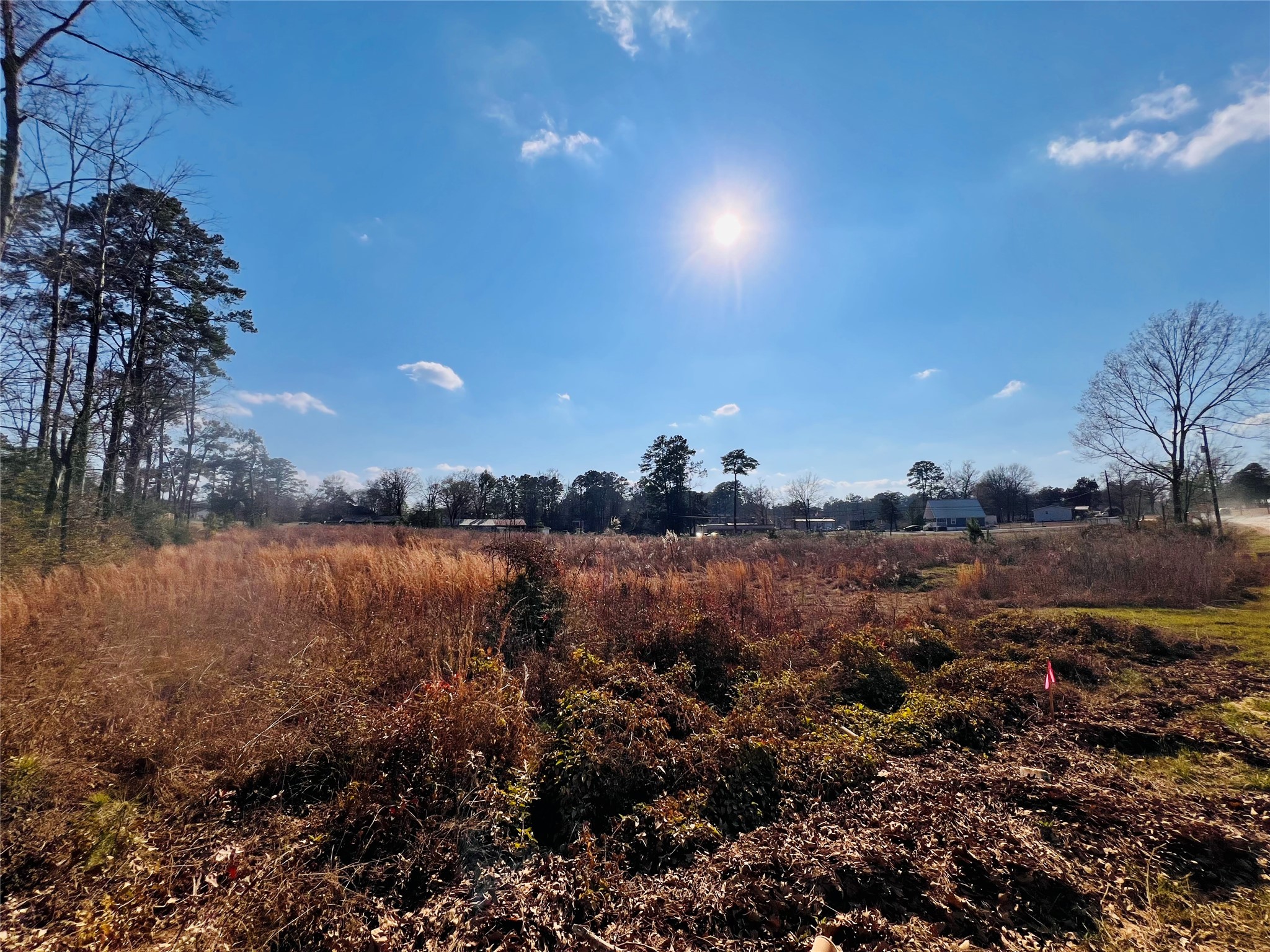 495 Rice Street Hemphill, TX 75948 - Photo 9 of 10 a view of lake