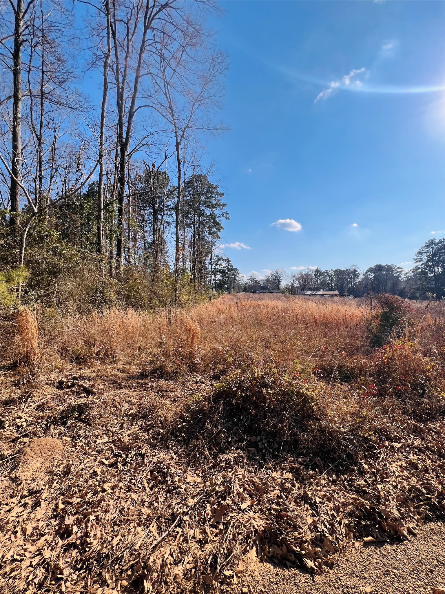495 Rice Street Hemphill, TX 75948 - Photo 10 of 10 a view of lake with mountain