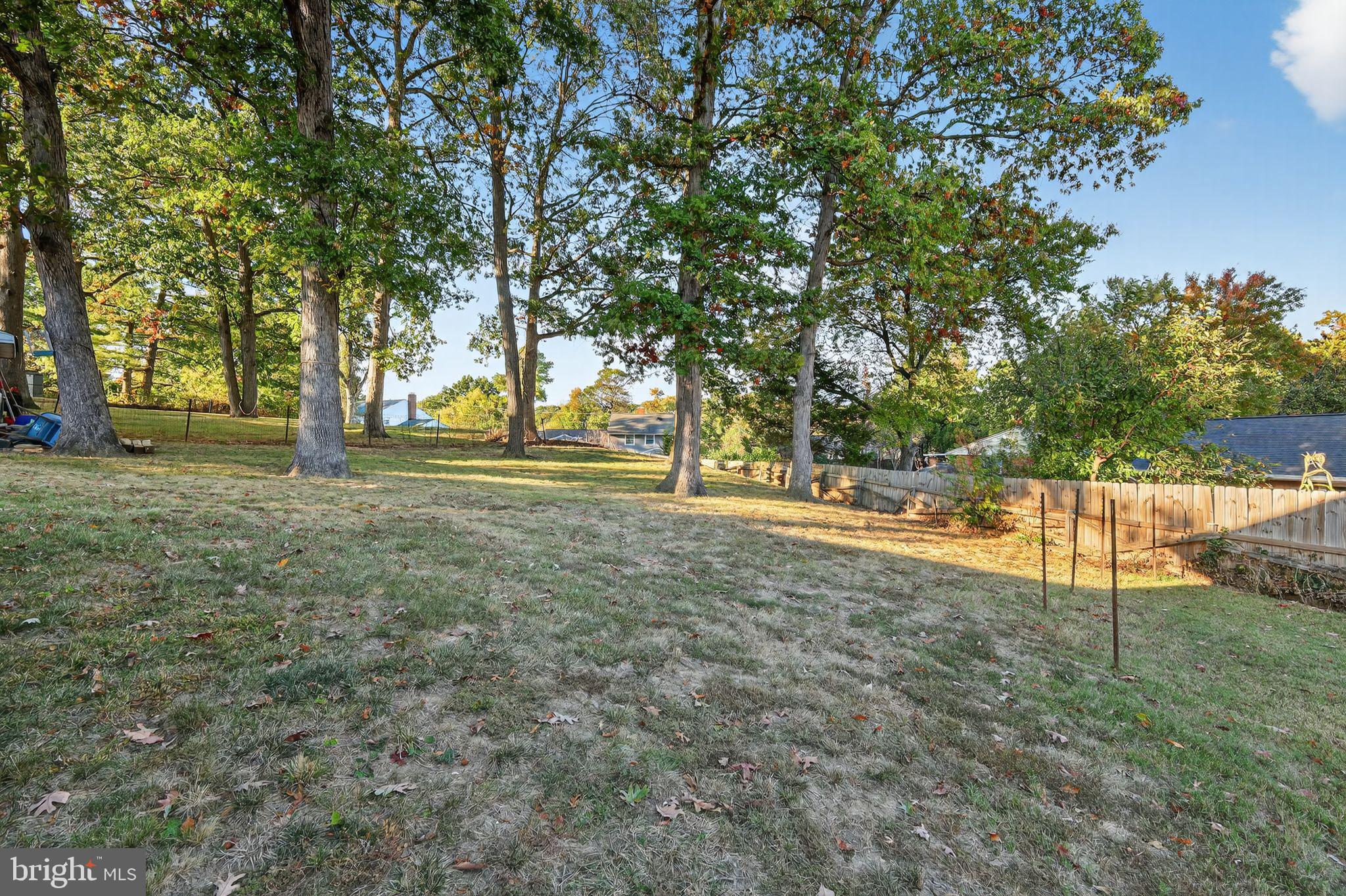 2924 Gracefield Road Silver Spring, MD 20904 - Photo 22 of 29 a view of yard with tree and green space