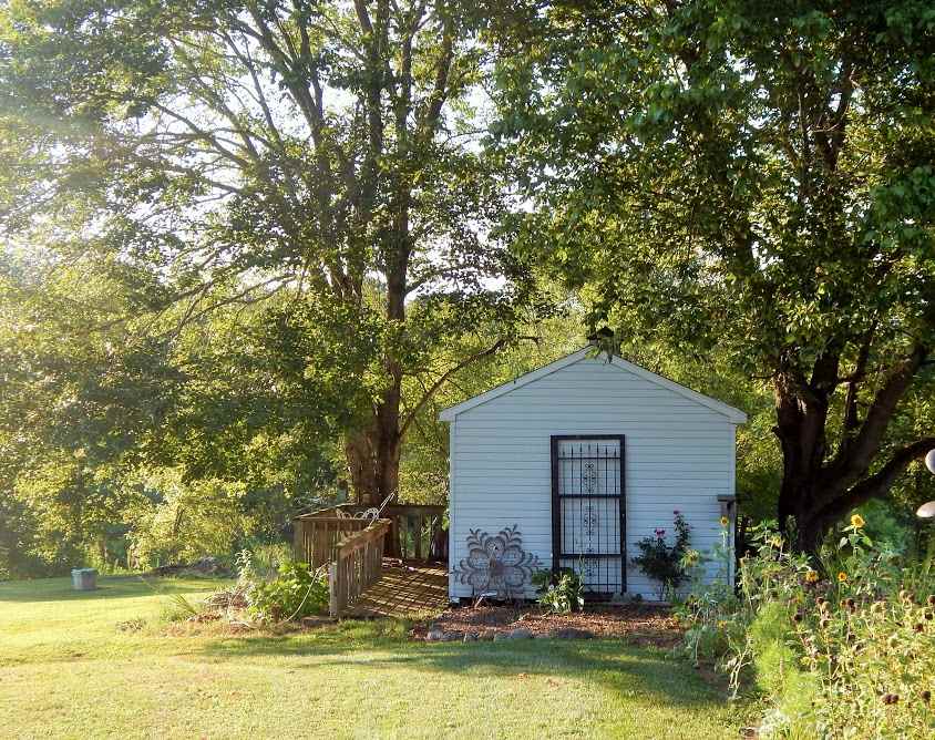 87 East Daffodil Road Ruckersville, VA 22968 - Photo 8 of 8 a view of a house with a yard plants and large tree